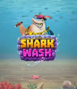 Насладитесь веселым подводным приключением с слотом Shark Wash от Relax Gaming, представляющим яркую визуализацию морской жизни, испытывающей фантастическую мойку. Откройте для себя развлечению, когда акулы и другие морские животные наслаждаются игривой чисткой, включая увлекательные бонусы вроде бесплатных вращений, вайлдов и специальных бонусов. Идеально для игроков, кто ищет веселого игрового сеанса с уникальной тематикой.