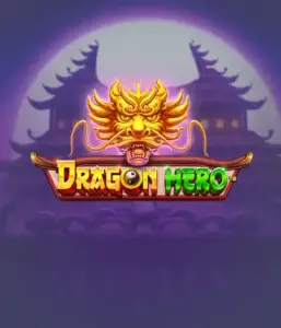 Присоединитесь к легендарное приключение с игрой Dragon Hero от Pragmatic Play, освещающей яркую графику могучих драконов и эпических столкновений. Исследуйте мир, где магия встречается с волнением, с символами вроде зачарованных оружий, мистических существ и сокровищ для очаровательного игрового опыта.